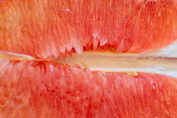 Pink pomelo juice vesicle aggregation. Food background texture closeup