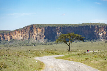 A road leads past a tree at Hell's Gate