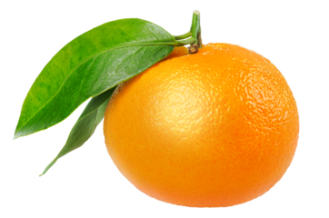 One tangerine with leaf cut out
