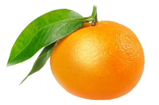 One tangerine with leaf cut out