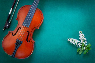 Fototapeta na wymiar Close up of Branch of blossoming bird cherry and old violin on green background.