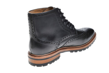 Stylish winter men`s shoes