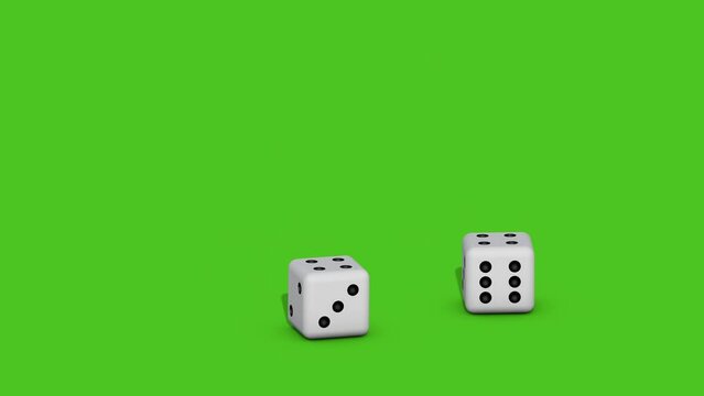 Two dice fall on a green screen background. Casino and gambling concept. 3D animation