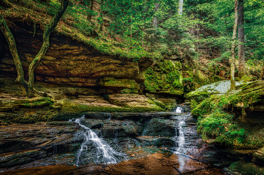 Einblick aus der Monbachtalschlucht - Insight from the Monbachtal Schlucht