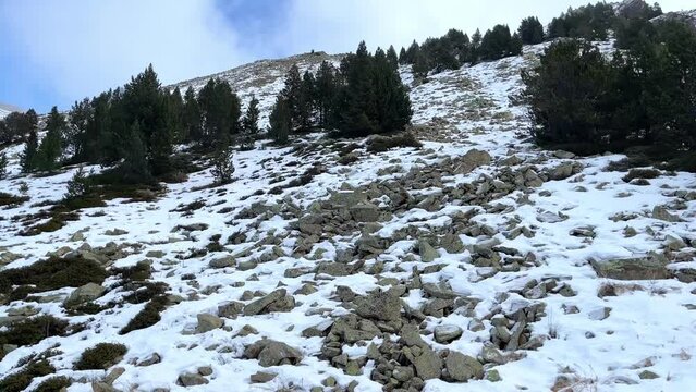 rocky mountainside with stones with lichen and partially covered with snow, pines and firs, from drone view
