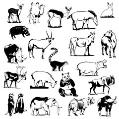 Set Of Animal Sketches Doodles. Animal Silhouette Set, Animal Sketches Transparent background
