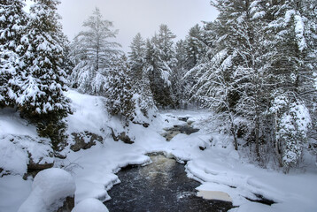 forest scene of snow with a stream running through it