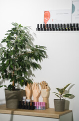 Manicure salon. Nail polish for manicure locating on long shelves in green beauty salon. Cozy...