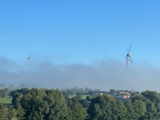 Windräder im Morgennebel