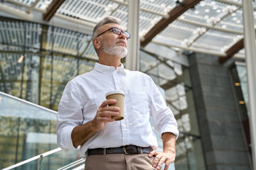 Confident senior mature old successful business man leader, smiling mid aged senior professional...