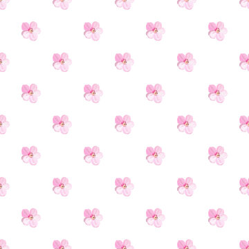Floral seamless pattern with pink flowers