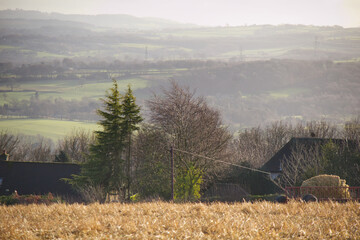 Hay gathered in the field