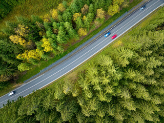Perpendicular aerial view of spruce forest: colourful autumn forest from above with winding road and fast moving cars.