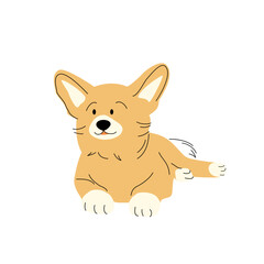 Corgi breed dog in cartoon funny flat style. simple color black strokes Cute character lying puppy, pet isolated on white background