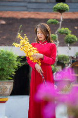 Beautiful Asian woman wearing Vietnam traditional Ao dai holding peach flower in Tet holiday or Lunar New Year Festival Season in Vietnam
