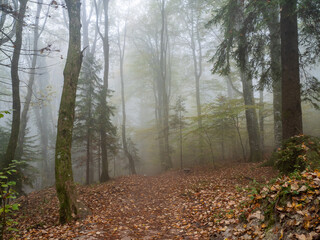 Lakes and waterfalls of Plitvice Lakes National Park