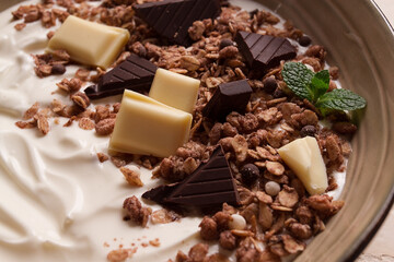 yogurt with chocolate muesli, breakfast, close-up, fork on top, no people,