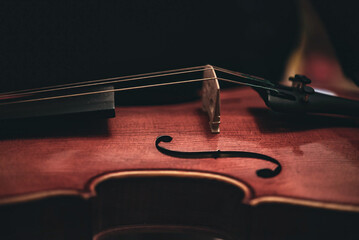 violin