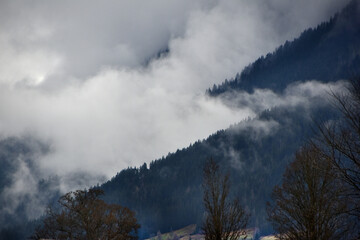 Mystische Nebellandschaft in Tirol