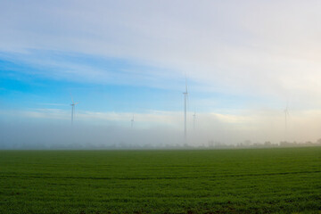 Fototapeta na wymiar Morning fog over the fields
