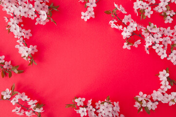 White cherry blossom branch on the red background. Top view. Copy space.