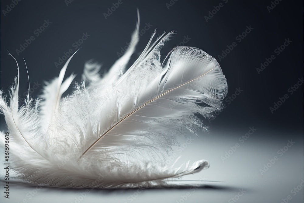 Poster a white feather is laying on a table top with a dark background and a white background with a black 