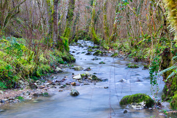 La Peña river, Sierra de Peñamayor, Nava, Asturias, Spain