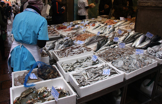 March&eacute; aux poissons &agrave; Bologne. Italie