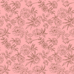 Flower pattern with contour roses chocolate colored on pink background vector