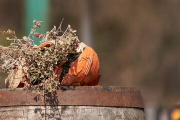 A broken clay pot with a withered plant outside. Copy space.
