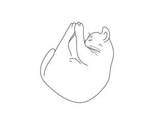 Cute cat lies and sleeps, doodle style, hand drawn. Vector illustration