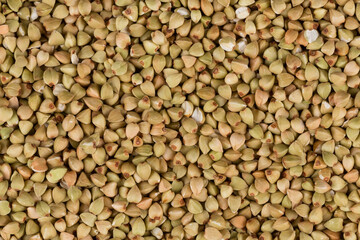 organic bio buckwheat