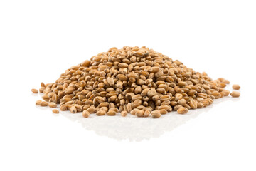 Wheat grain on white
