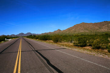 Desert Road Sonora desert Arizona