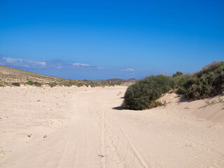 Fototapeta na wymiar sand dunes in the desert with few green plants