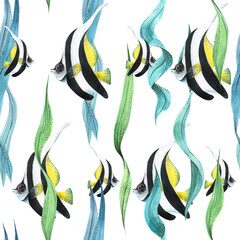 Bright, striped, tropical fish with seaweed. Watercolor illustration. Seamless pattern on a white background. For decoration and design of fabrics, textiles, wallpaper, packaging paper. © NATASHA-CHU