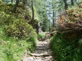 Hiking trail in Alpe Devero, Parco Naturale Veglia-Devero, Val d'Ossola, Italy.