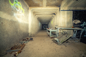 In Brandenburg, history isn't just told, it's hidden underground in old bunkers! Imagine strolling...