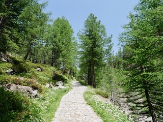 Fototapeta na wymiar Hiking trail in Alpe Devero, Parco Naturale Veglia-Devero, Val d'Ossola, Italy.