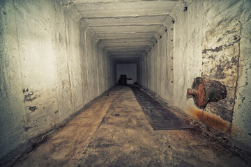 In Brandenburg, history isn't just told, it's hidden underground in old bunkers! Imagine strolling...