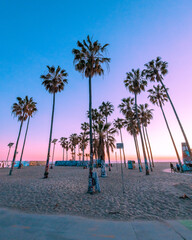 Venice Beach, California with palm trees and a pink and teal sunset within Los Angeles.
