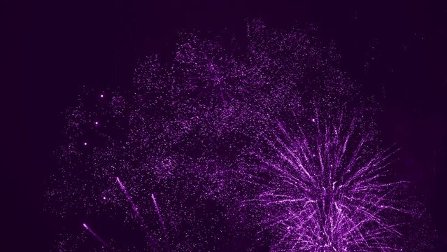 Fireworks in evening sky during celebration. The color is violet