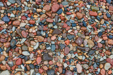 Stones lie on the beach of Zelenogradsk, Baltic Sea.