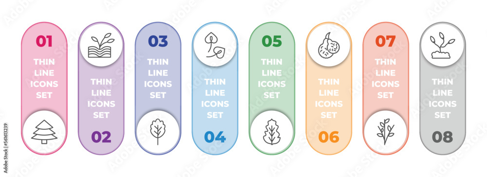 Poster nature infographic element with outline icons and 8 step or option. nature icons such as red spruce 