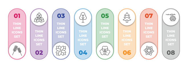 nature infographic element with outline icons and 8 step or option. nature icons such as lavender, bougainvillea, zinnia, birch, alstroemeria, cedar, dahlia, hive vector.