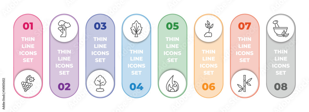 Poster nature infographic element with outline icons and 8 step or option. nature icons such as grapevine, 