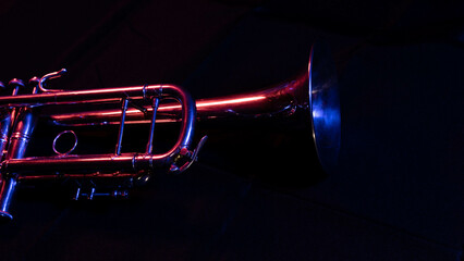 Obraz na płótnie Canvas Trumpet in the Dark