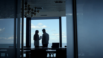 Two coworkers discussing business at panorama window. Managers silhouettes talk