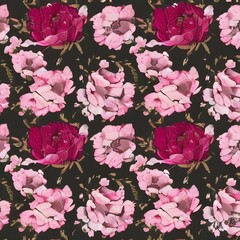 Peony Flowers and Patterns