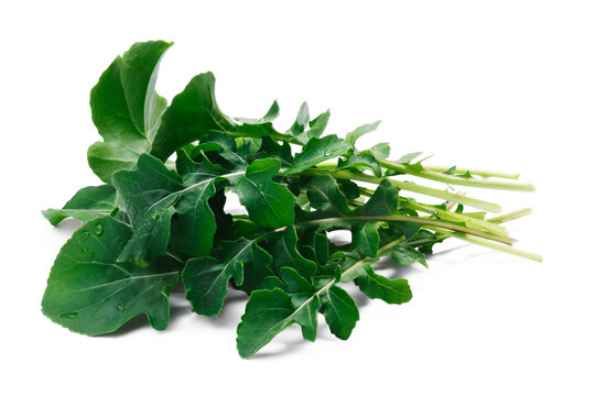 Fresh big-leaved  arugula (Eruca sativa) leafy salad isolated png